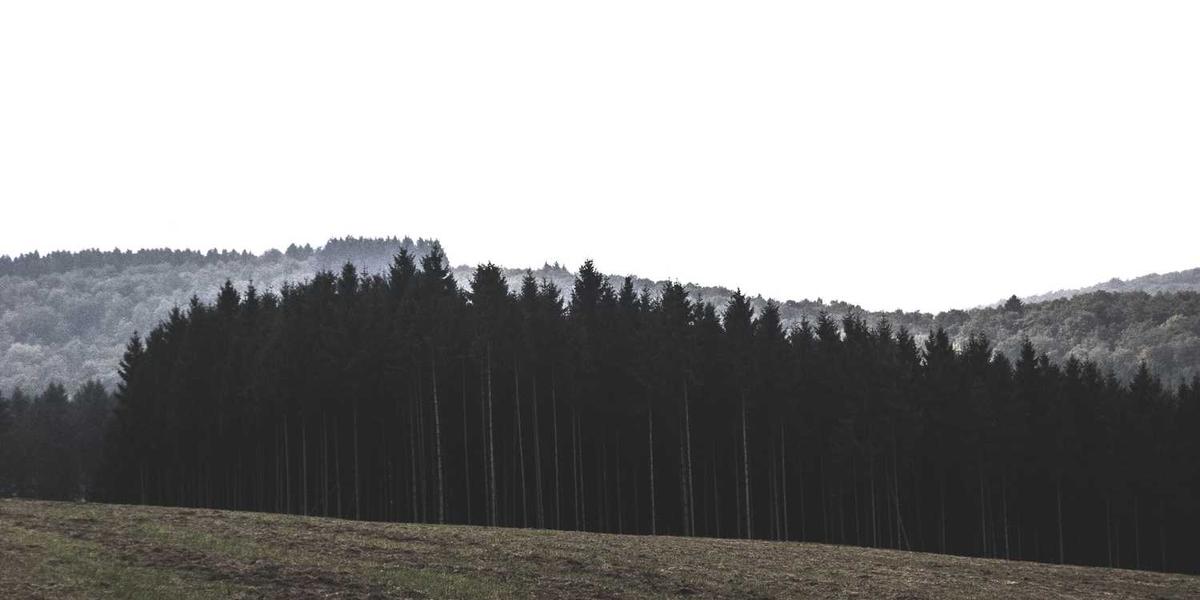 Complete Sleeping Bag Buying Guide 2025: Choose Your Perfect Sleep System