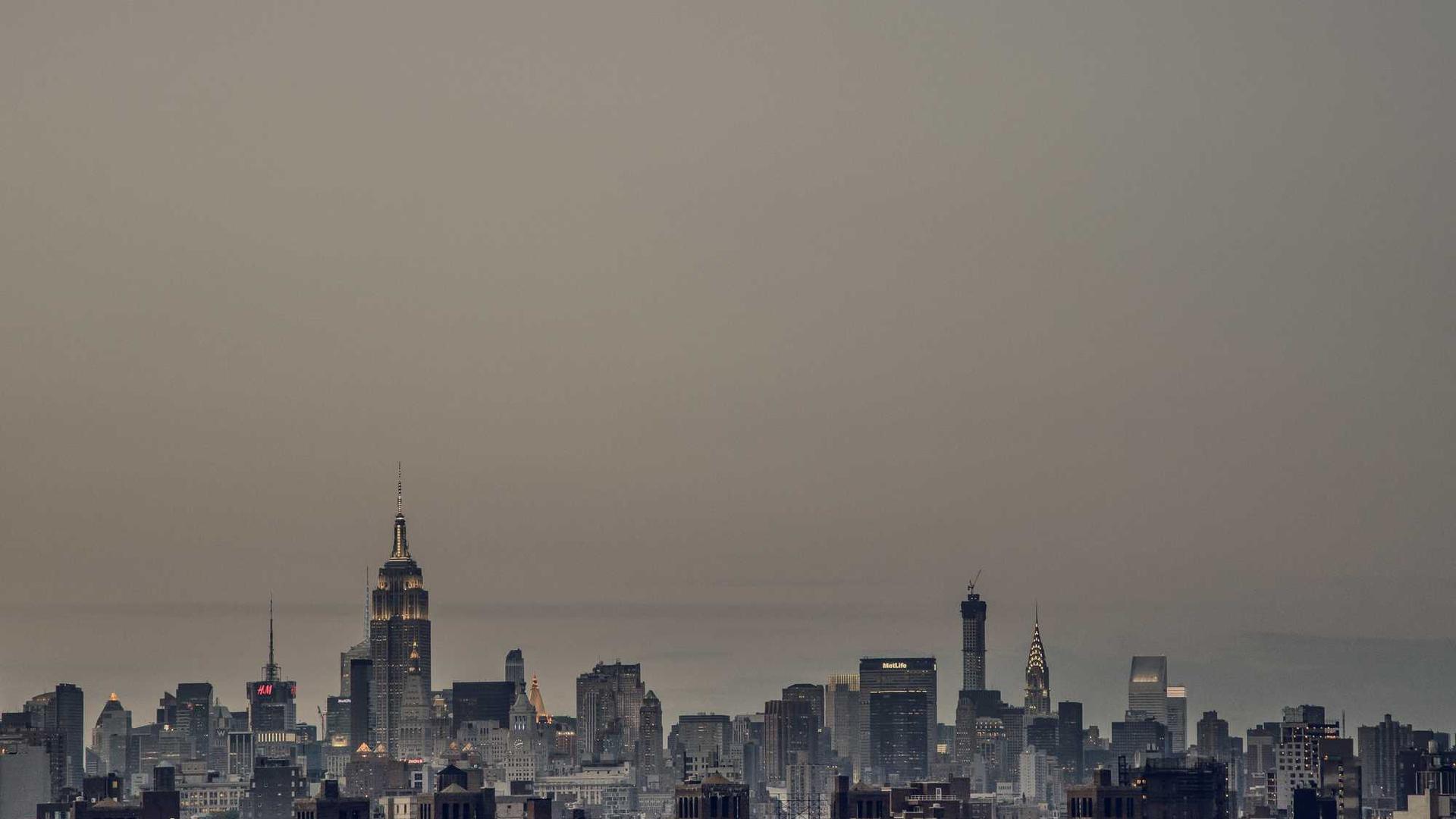 Trail Camera Buying Guide: Complete Wildlife Photography and Security Setup