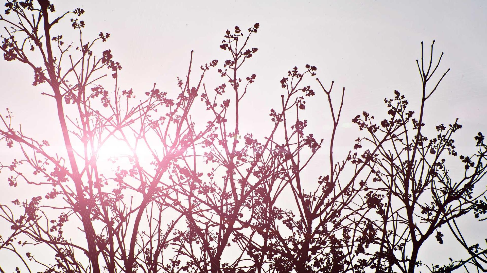 IPX Waterproof Ratings Explained: What IP67, IP68, and IPX8 Really Mean