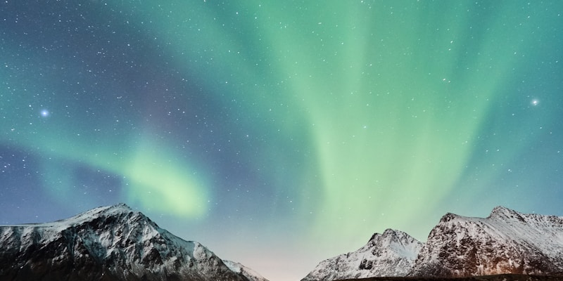 Wildlife watching gear including binoculars and spotting equipment